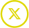 X Icon