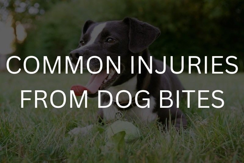 Common injuries from dog bites